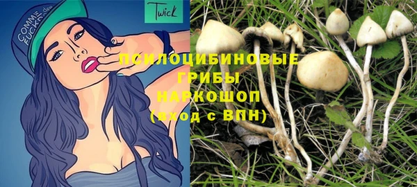 гидропоника Вязьма