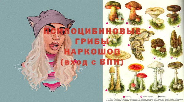 соль ск Волосово