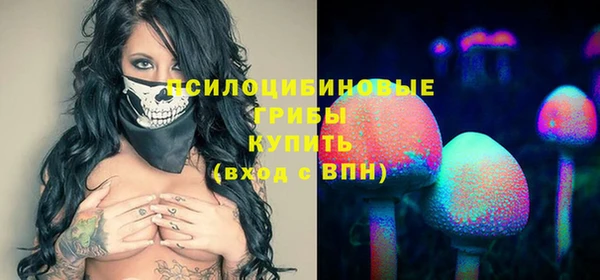 гидропоника Вяземский